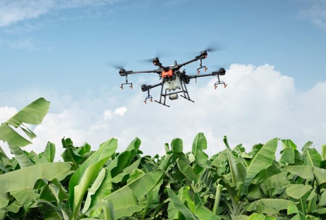Drone flying over crops