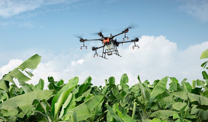 Drone flying over crops