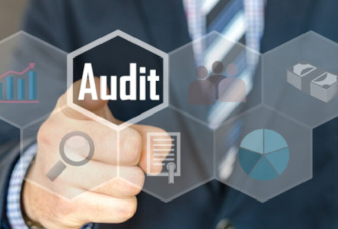 Audit