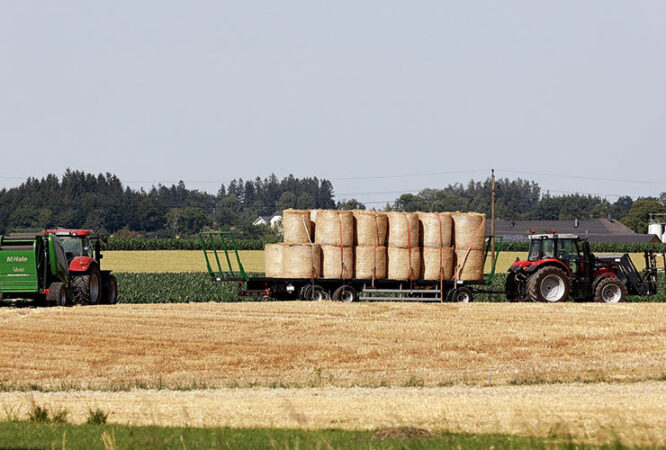 Hay bales