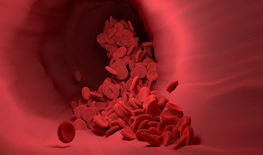 red blood cells in vein image